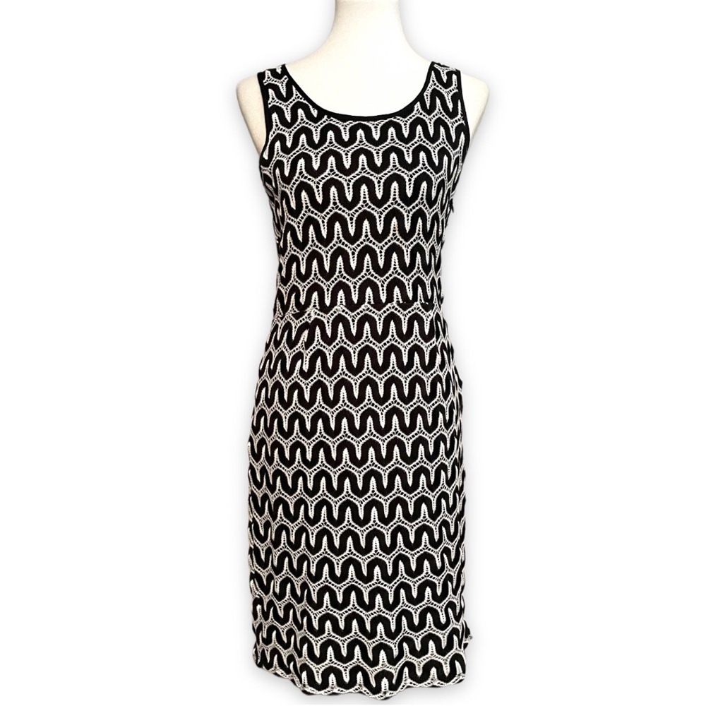 Size 6 Banana Republic Lined Black and White Dress